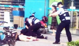 泰国警方爆料视频大全最新,最新爆料视频大全深度解析