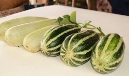 qq免费吃网红的瓜,揭秘QQ免费吃瓜攻略